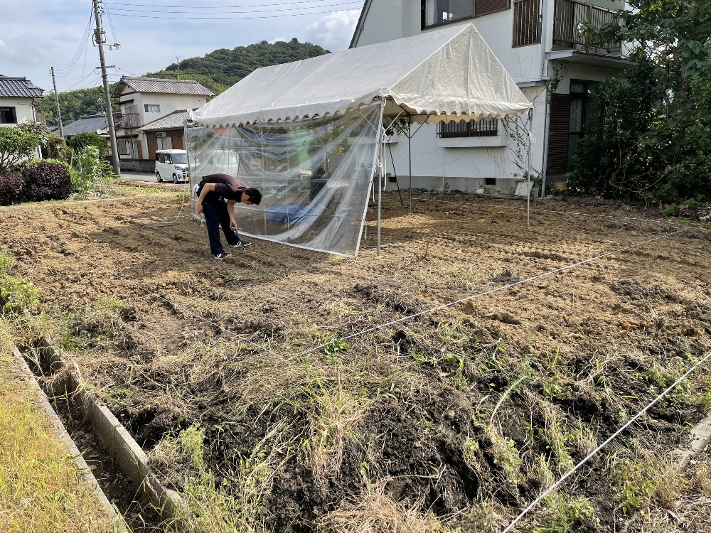 地縄張り